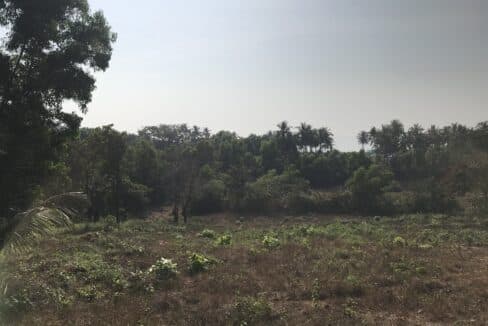 7900 sqm Sea view beach land plot for sale in Agonda Agonda Goa 403702 15.033862, 73.993793